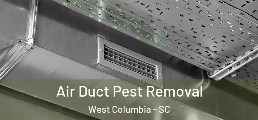  Air Duct Pest Removal West Columbia - SC