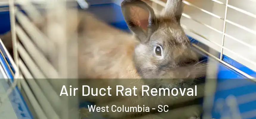  Air Duct Rat Removal West Columbia - SC
