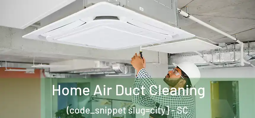  Home Air Duct Cleaning (code_snippet slug=city] - SC