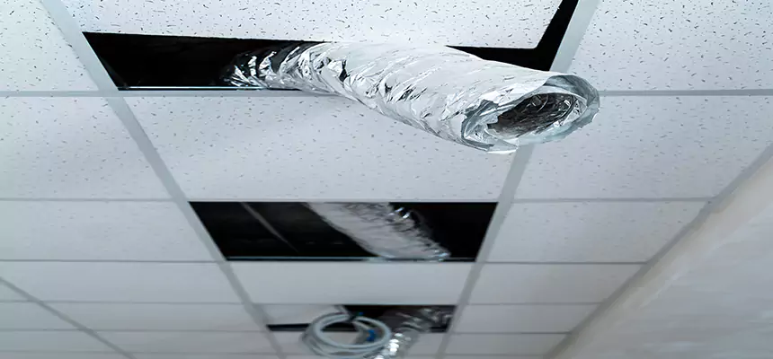 Our Air Duct Pet Hair Removal Services in West Columbia, SC