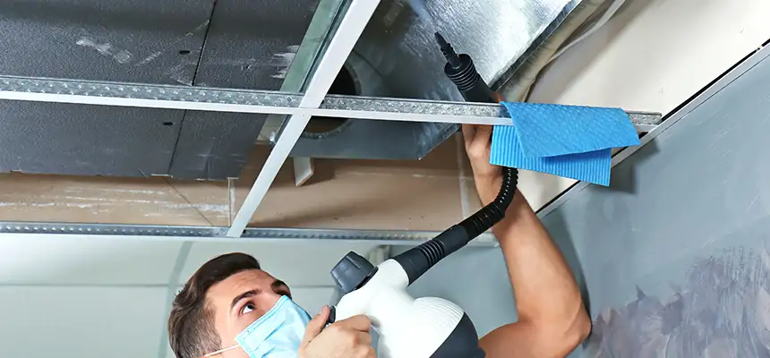 Our Air Duct Rodent Removal Services in West Columbia, SC