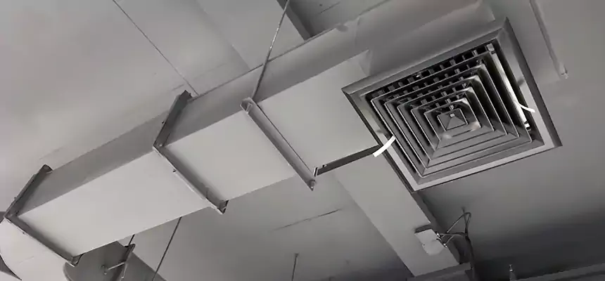 Restorative Allergy Relief Vent Cleaning – Coil, Blower & Housing Detail in West Columbia