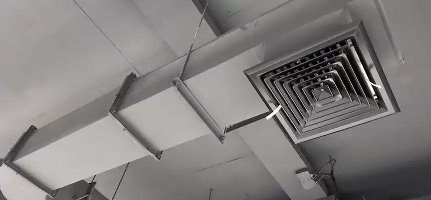 Our Pest Removal From Ducts Services in West Columbia, SC