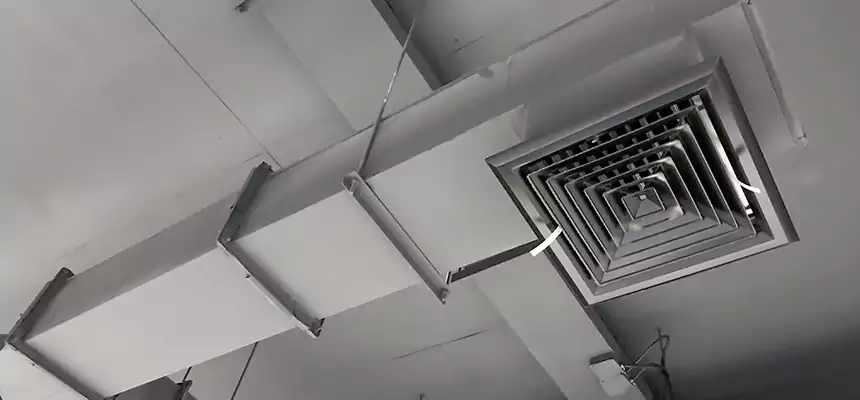 Our Rodent Droppings In Vents Services in West Columbia, SC