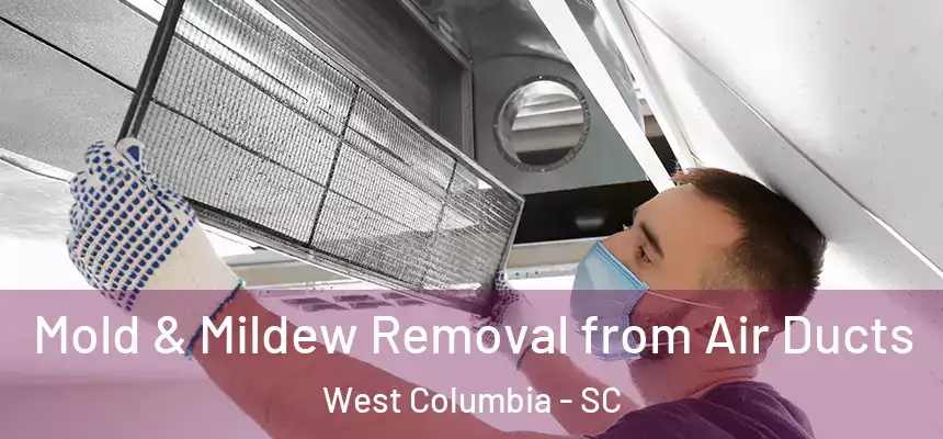  Mold & Mildew Removal from Air Ducts West Columbia - SC