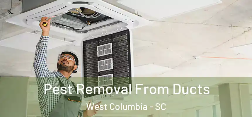  Pest Removal From Ducts West Columbia - SC