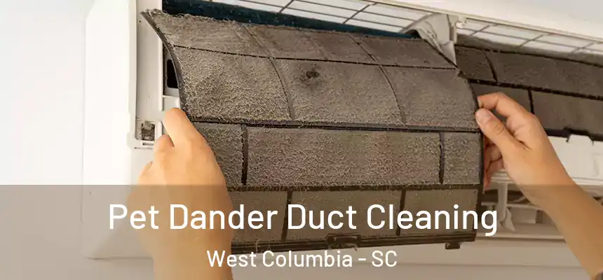  Pet Dander Duct Cleaning West Columbia - SC