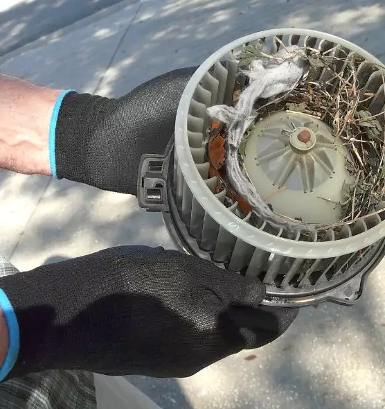 About Air Duct Mice Removal in West Columbia, SC