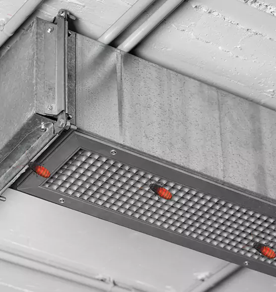 Affordable Insect Removal from Air Ducts in West Columbia, SC