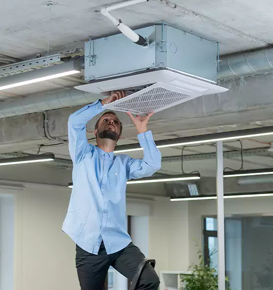 Advanced Rodent Droppings In Vents in West Columbia, SC