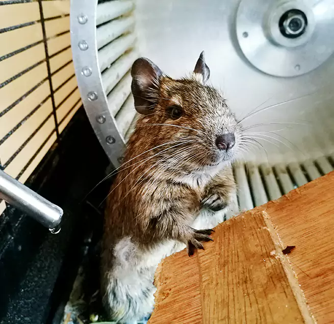 Why Homeowners & Businesses Trust Us West Columbia, SC