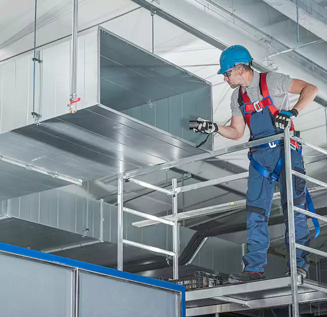 Why Homeowners & Businesses Trust Us in West Columbia, SC?