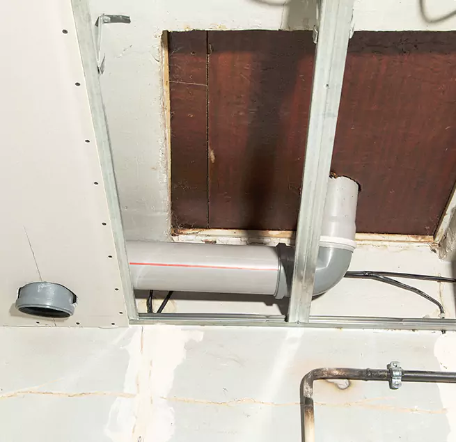 Why Homeowners & Businesses Trust Us in West Columbia, SC?