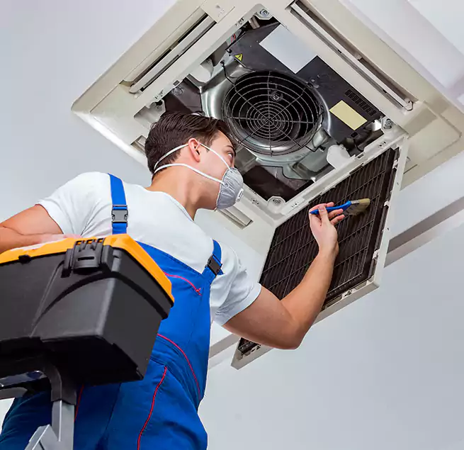 Why Homeowners & Businesses Trust Us in West Columbia, SC