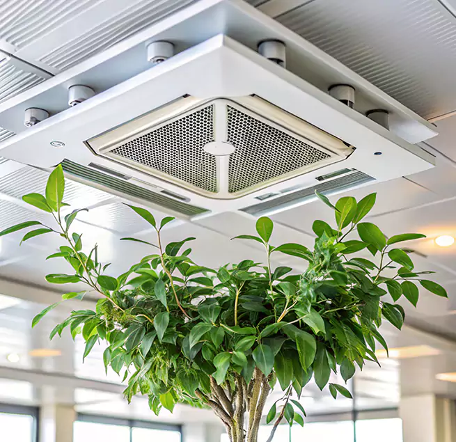 Why Homeowners & Businesses Trust Us in West Columbia, SC?