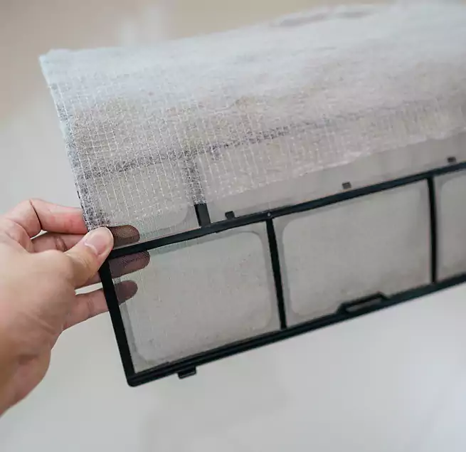 Why Homeowners & Businesses Trust Us in West Columbia, SC?