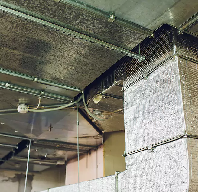 Why Homeowners & Businesses Trust Us in West Columbia, SC?