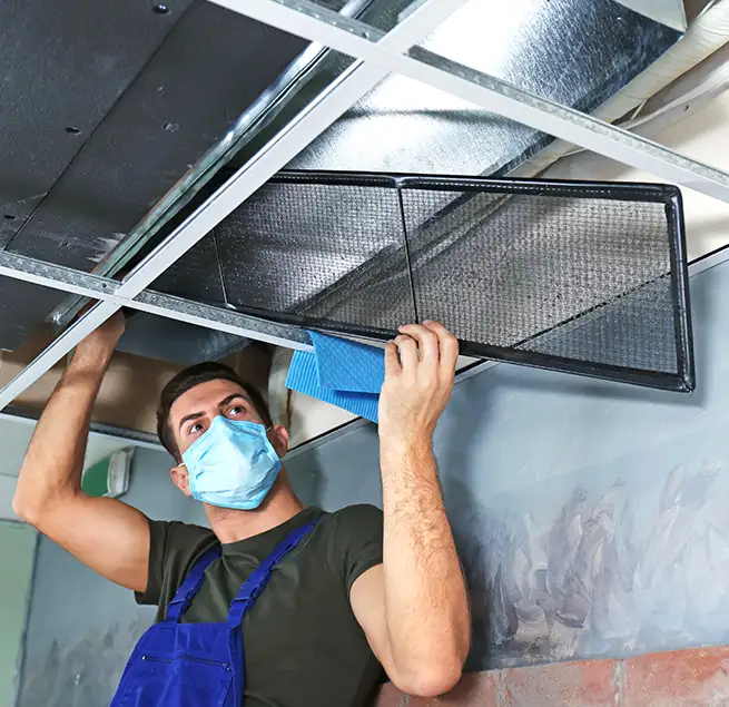 Why Homeowners & Businesses Trust Us in West Columbia, SC?